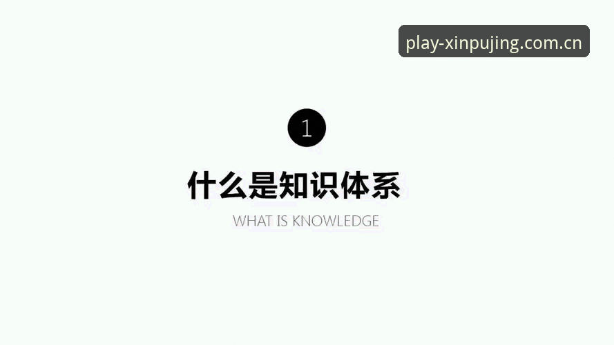 新普京使用教程实用指南：安全登录与高效操作必备知识